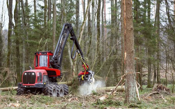 Forest Clearance Service in Spanish Fork
