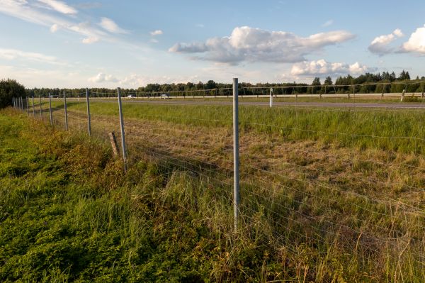 Property Line Clearing in Spanish Fork