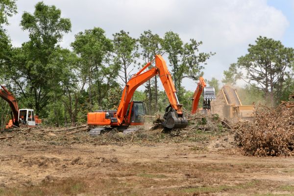 Commercial Lot Clearing in Spanish Fork