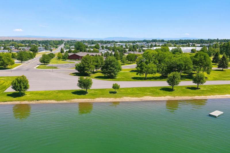 Lakefront Property Clearing